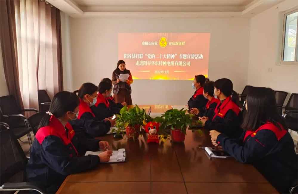 陽(yáng)谷華東特種電纜積極參與“巾幗心向黨 建功新征程”黨的二十大精神專題宣講活動(dòng)